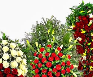 Траурные венки из живых цветов